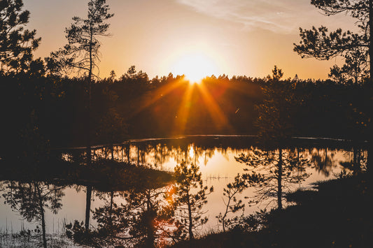 Rich soil representing the natural source of fulvic acid used in Trinero Capsules.