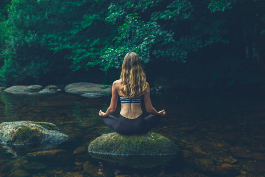 The Endocannabinoid System: Unlocking the Power of CBG for Optimal Health